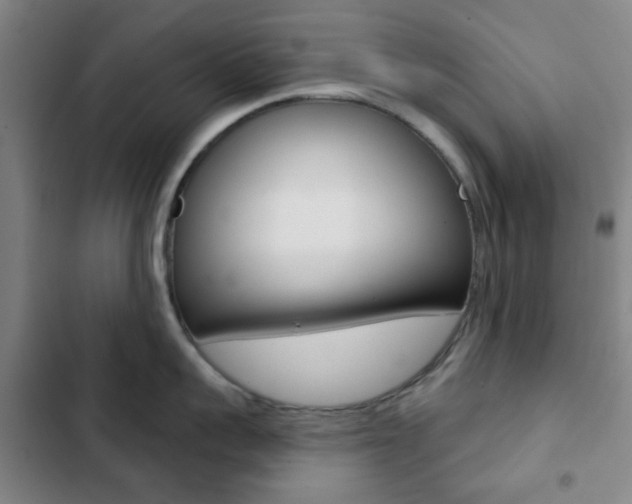 X0000103260959200808291039