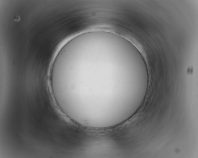 X0000103260960200808291040