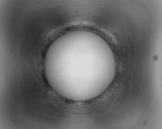 X0000103260966200808291039