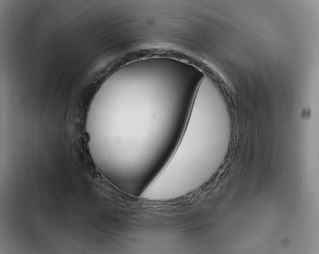 X0000103260967200808291039