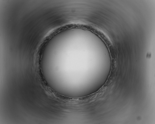 X0000103260968200808291039