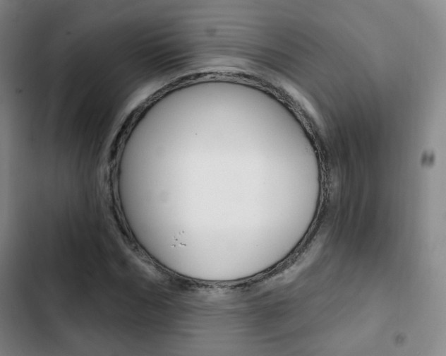 X0000103260970200808291039