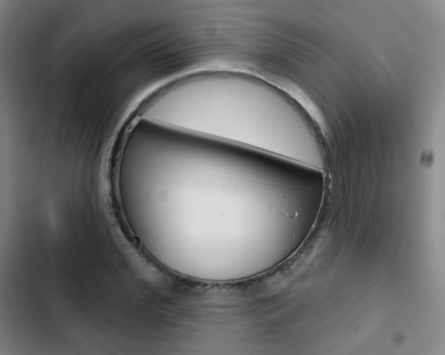 X0000103260972200808291039