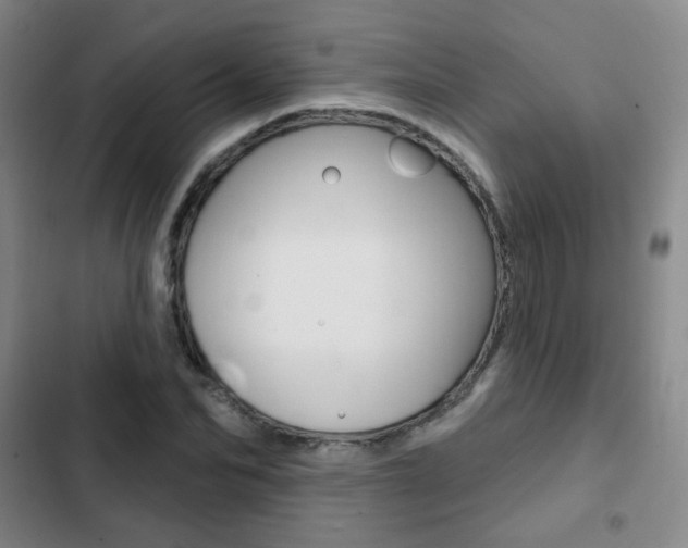 X0000103260974200808291039