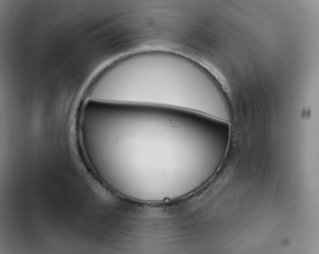 X0000103260976200808291039