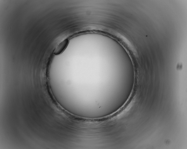X0000103260977200808291039
