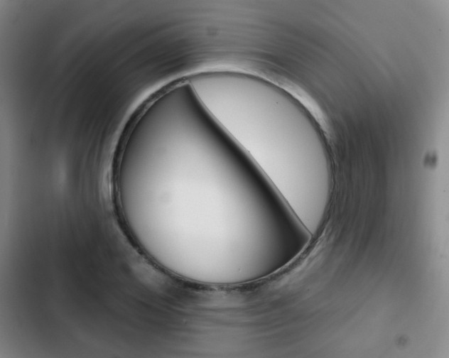X0000103260980200808291039