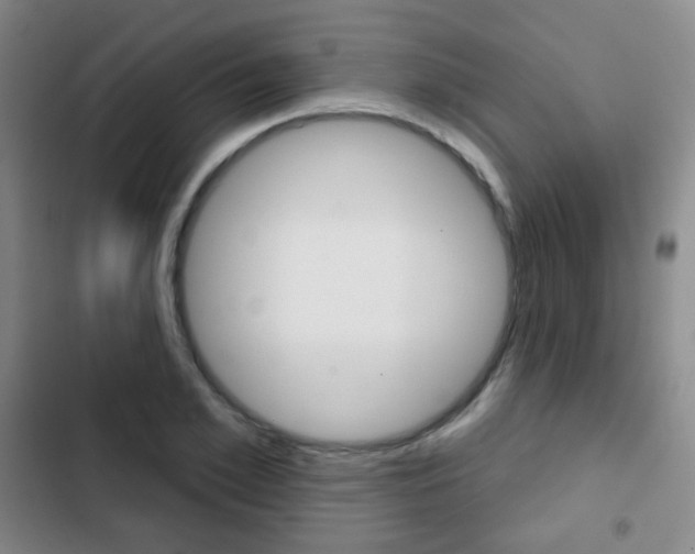 X0000103260981200808291039