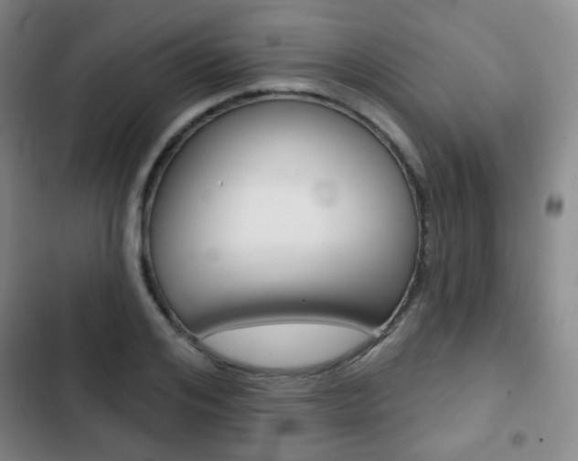 X0000103260984200808291039