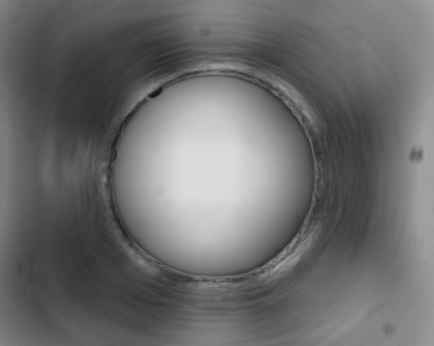 X0000103260985200808291039
