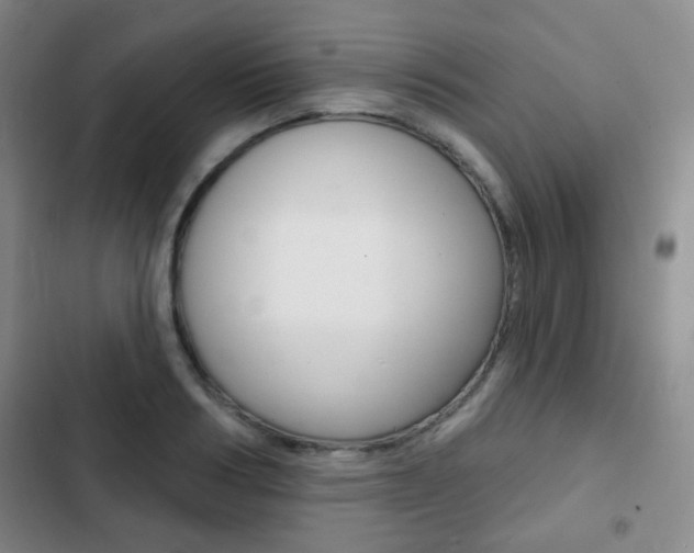 X0000103260986200808291039