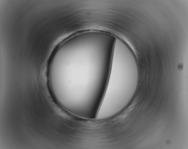 X0000103260987200808291038