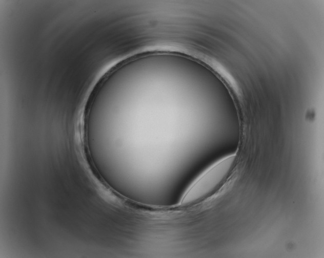 X0000103260988200808291038