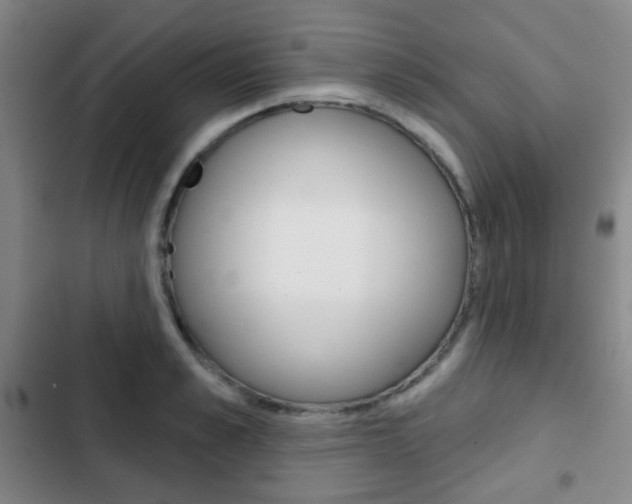 X0000103260989200808291038