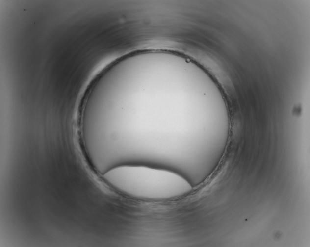 X0000103260990200808291038