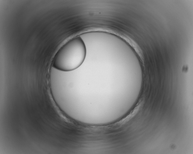 X0000103260993200808291038