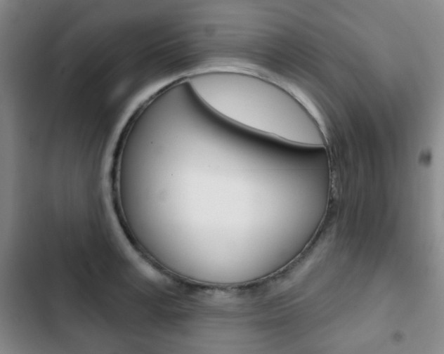 X0000103260995200808291038