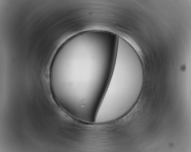X0000103260996200808291038