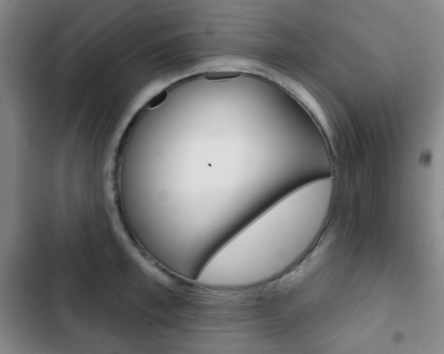 X0000103260997200808291038
