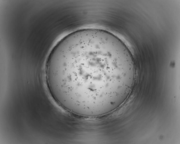X0000103260998200808291038