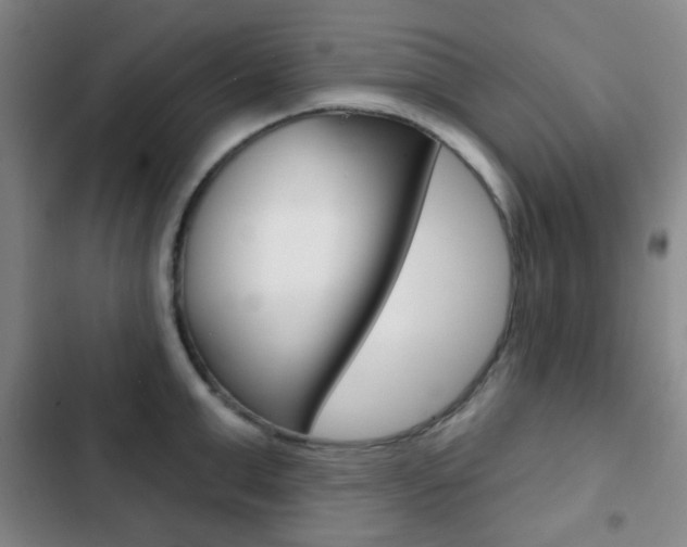 X0000103260999200808291038