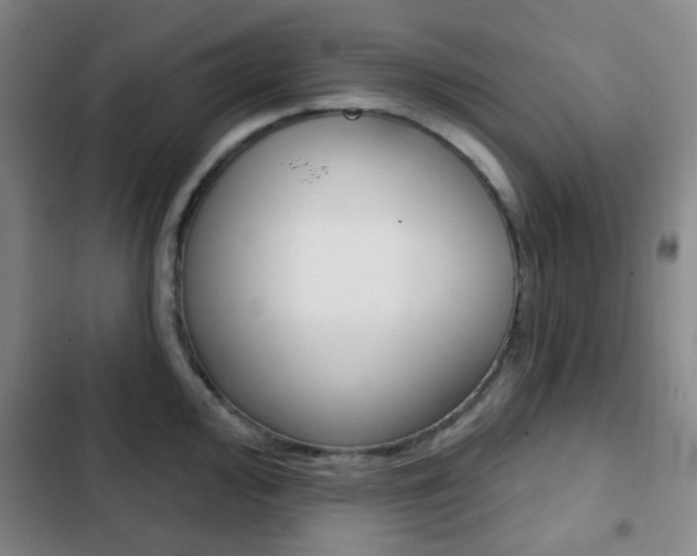 X0000103261000200808291038