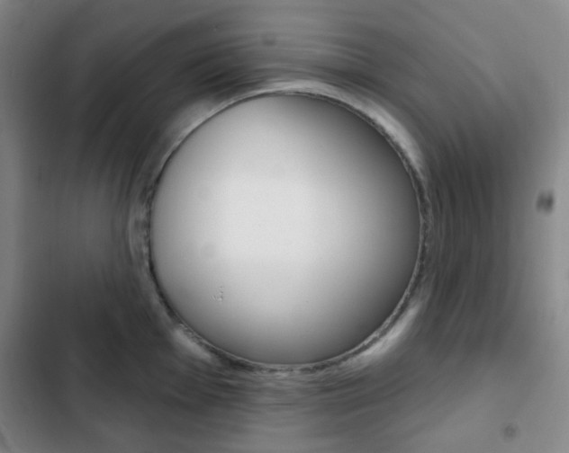 X0000103261001200808291038