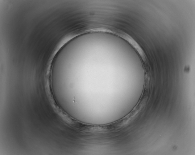 X0000103261002200808291038