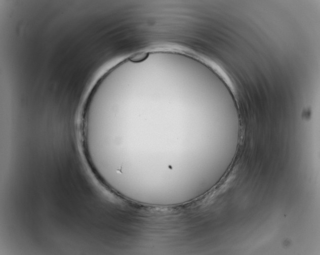 X0000103261003200808291038