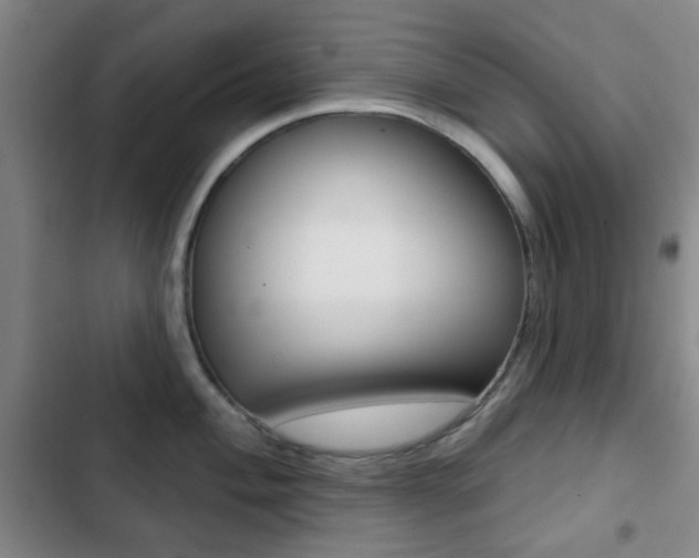 X0000103261004200808291038