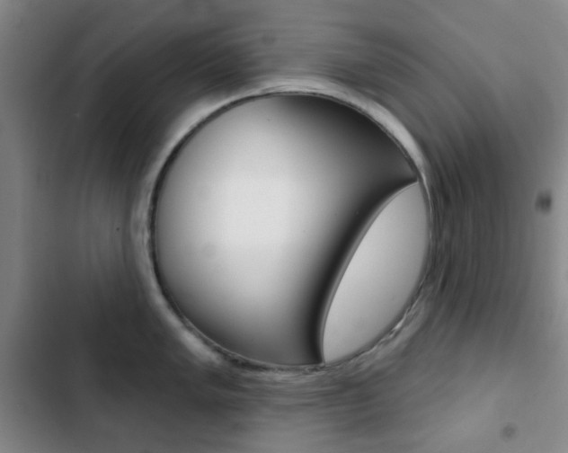 X0000103261005200808291038
