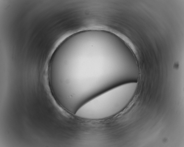 X0000103261006200808291038