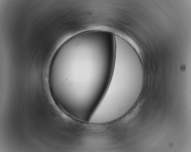 X0000103261007200808291038