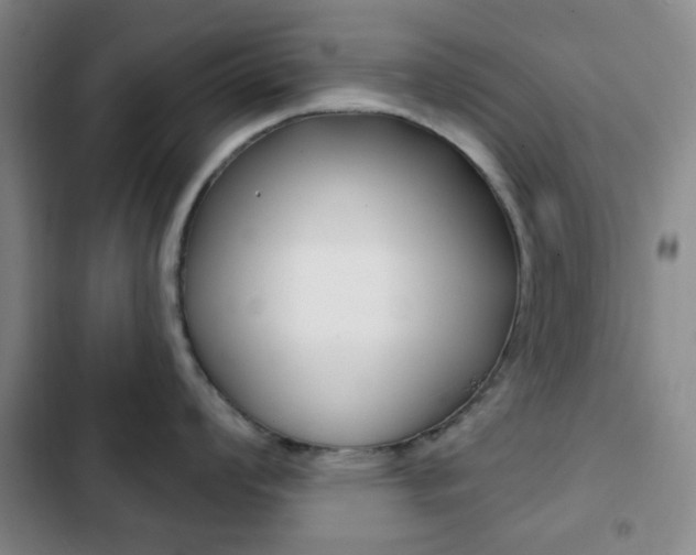 X0000103261008200808291038