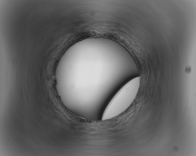 X0000103261009200808291037