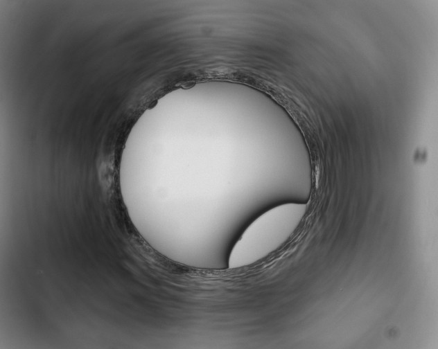 X0000103261011200808291037
