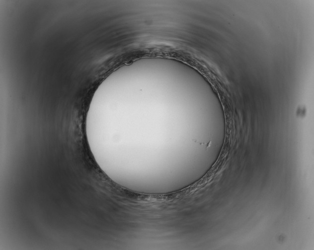 X0000103261013200808291037