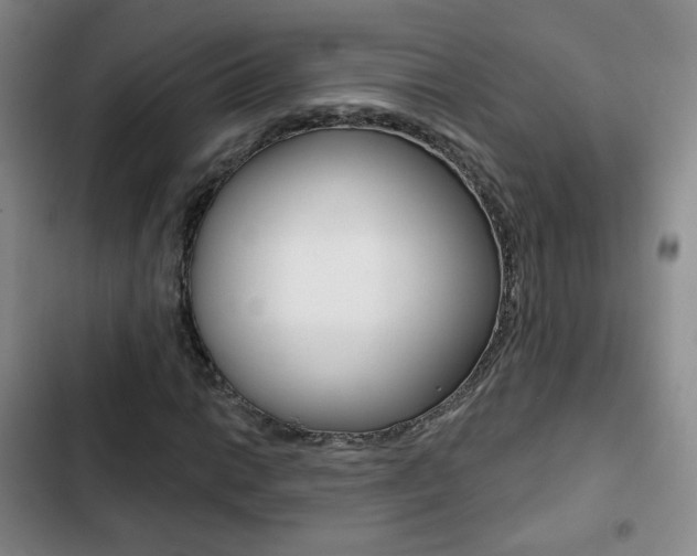 X0000103261014200808291037