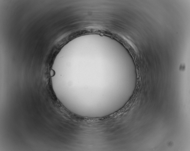 X0000103261015200808291037