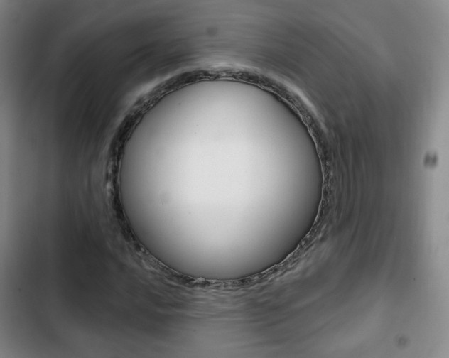 X0000103261016200808291037
