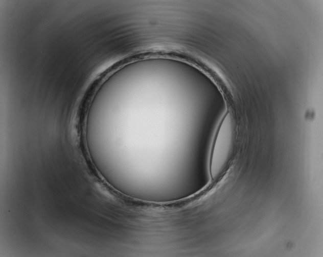 X0000103261018200808291037