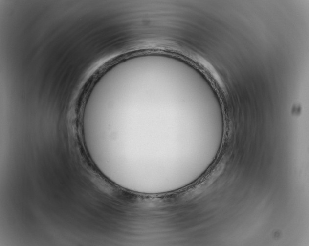 X0000103261019200808291038