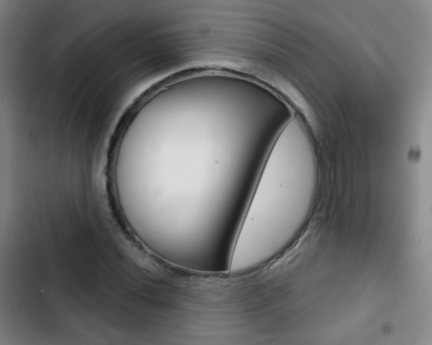 X0000103261020200808291038