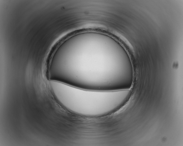 X0000103261021200808291038