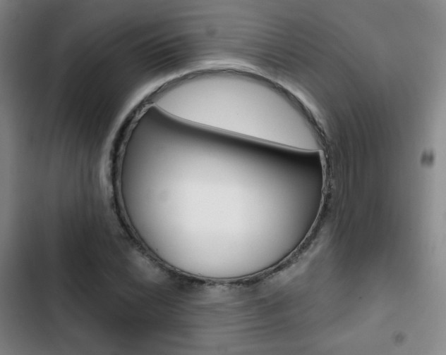X0000103261022200808291038