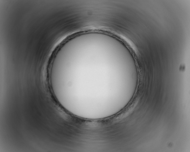 X0000103261023200808291038