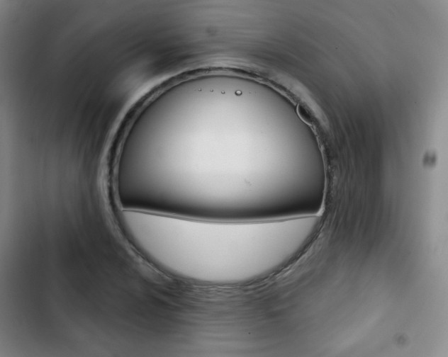 X0000103261024200808291038