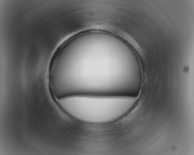 X0000103261028200808291038