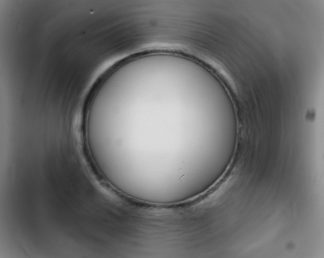 X0000103261030200808291038