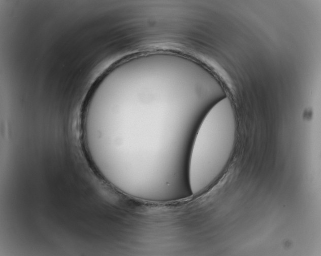 X0000103261031200808291038